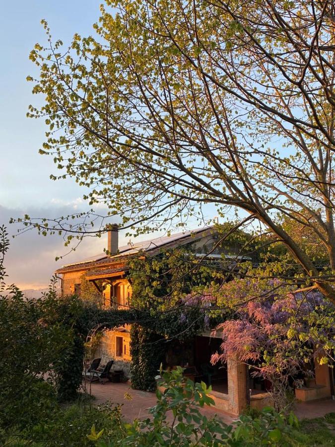 Agriturismo Solidor Pitigliano Exterior photo